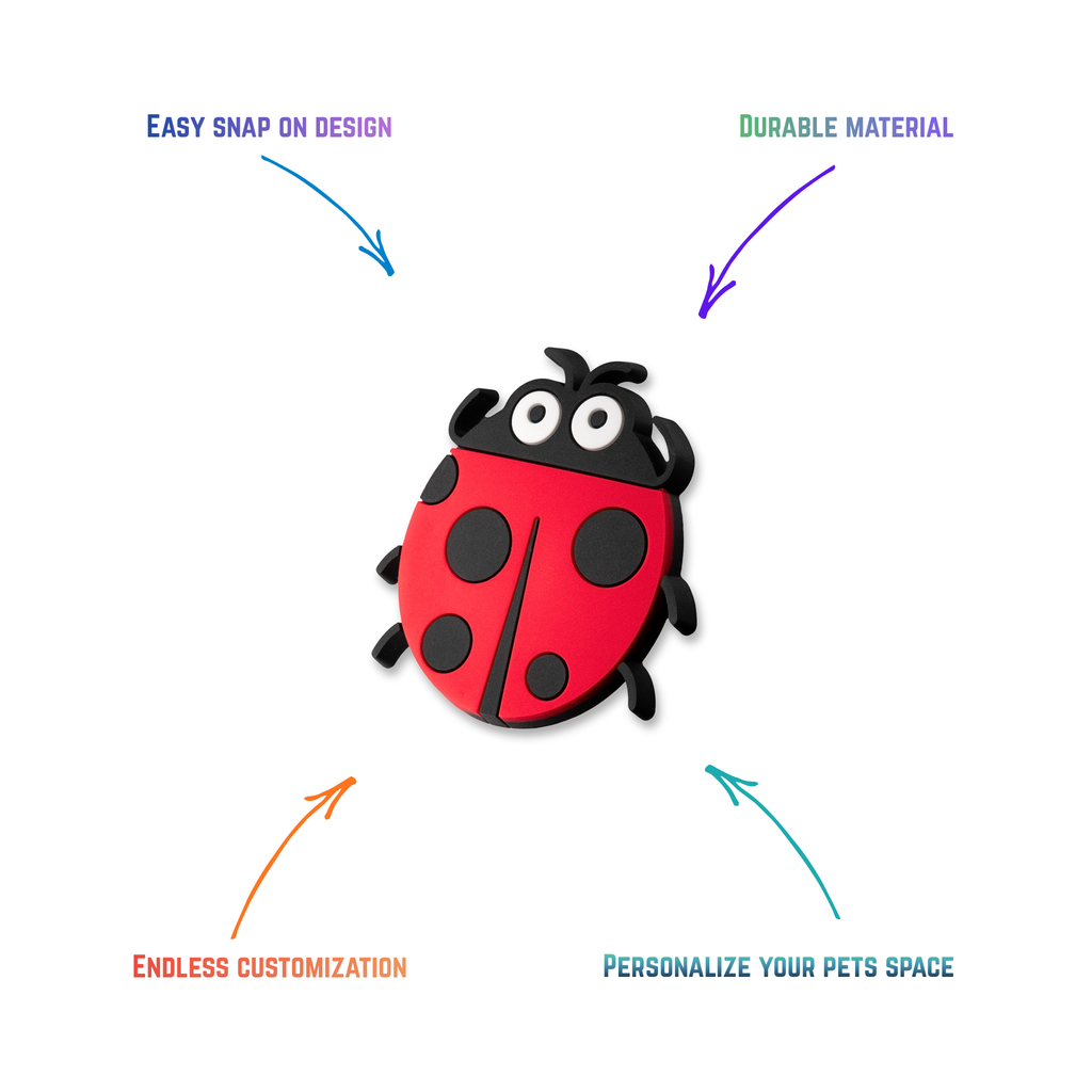 Ladybug