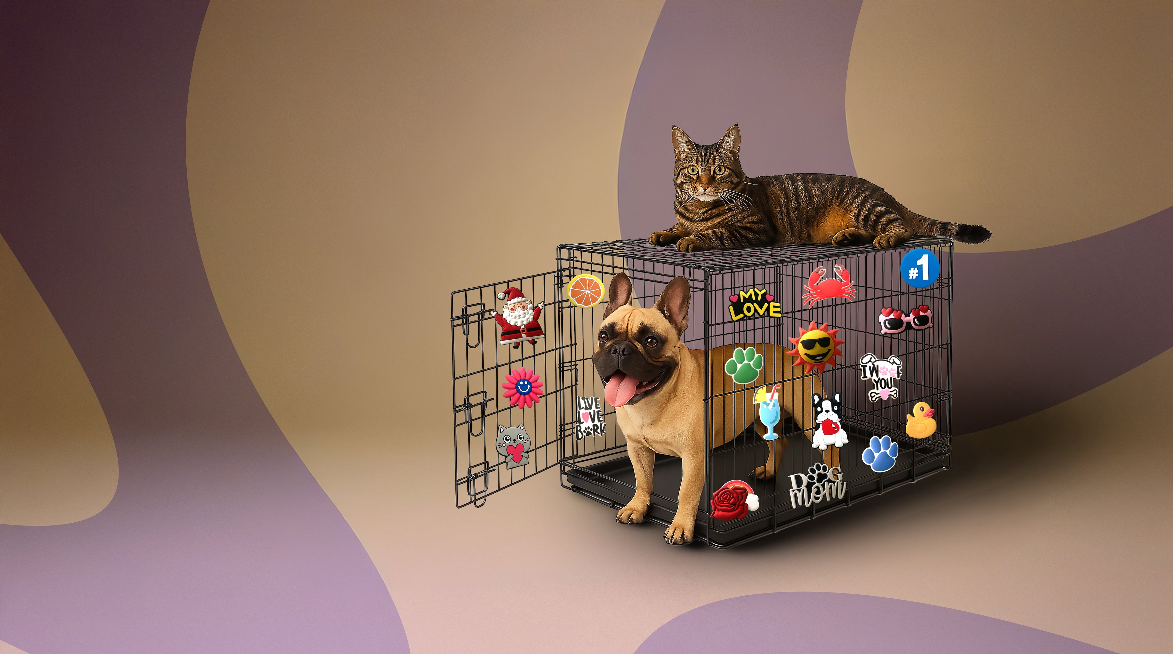 Cat and dog with colorful decorative pet crate charms on wire crate desktop