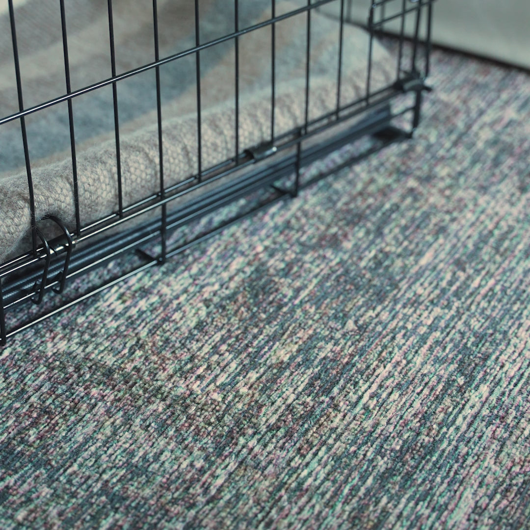 Pet crate accessories demonstration video showing how to attach and detach crate charms Crate Charms brand instructional content